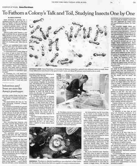 Scientist at work - article in New York Times 4/27/09